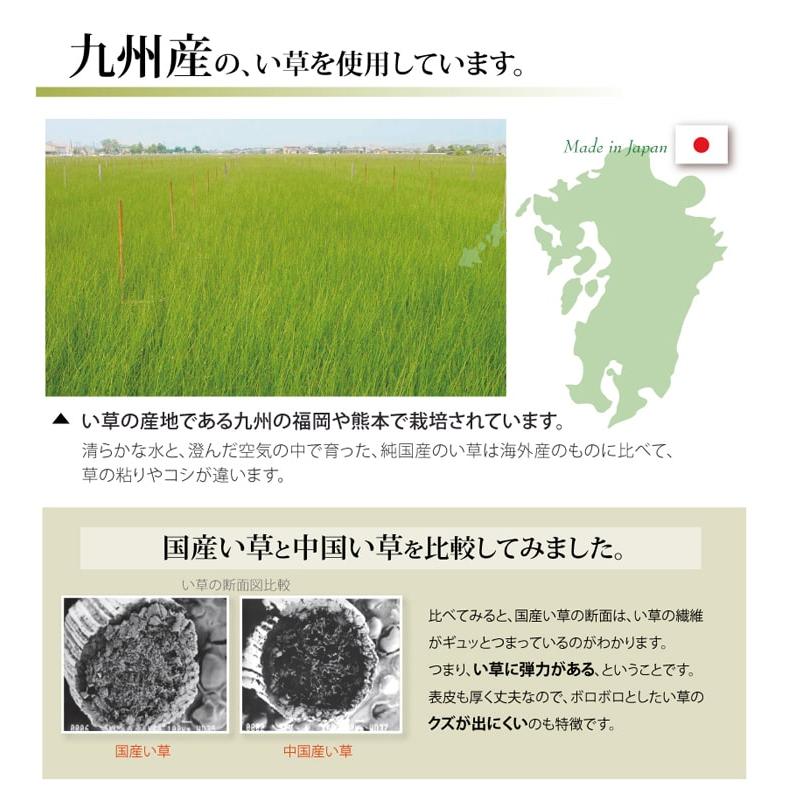 国産 い草 ござ 和室 上敷き カーペット 敷物 双目織  団地間4.5畳(約255×255cm） 【親コード】 1010030011602｜hageomusubinet｜05