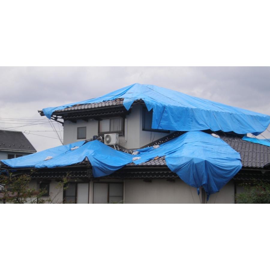 ブルーシート ターピー 3000 3 6mx3 6m A 042 萩原工業yahoo ショップ 通販 Yahoo ショッピング