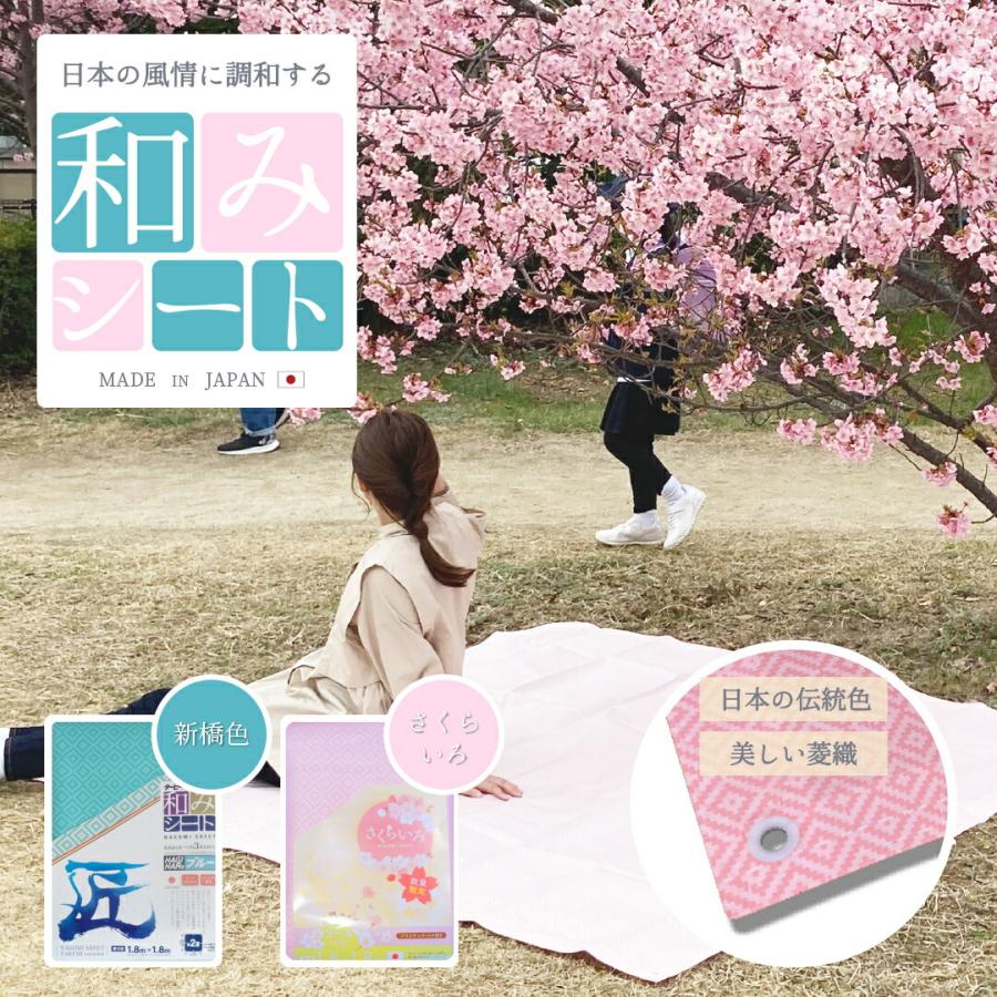 開店記念セール 5年シート 2 7mx3 6m Dprd Jatimprov Go Id