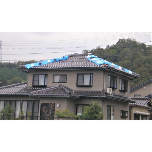 防炎ブルーシート #2500 1.8m×1.8m | 匠シリーズ 防炎加工 防炎性能 消防法適合 自己消火性 防水加工 日本製 養生 カバー 間仕切り 防火対策 |  | 03