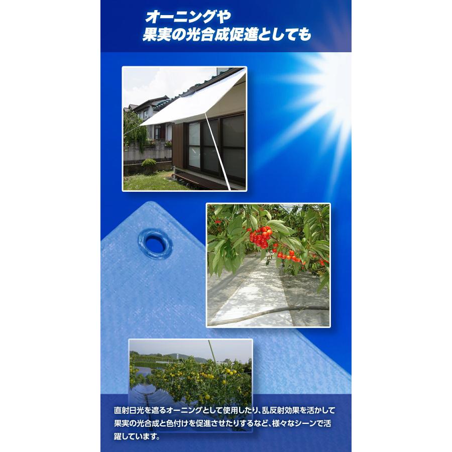 ターピー 遮熱シート スノーテックス スーパークール 1.8m×1.8m STSC1818 | 遮熱性 防水性 採光性 防水 養生 養生用シート 耐候性5年 長持ち UV剤入り |  | 14