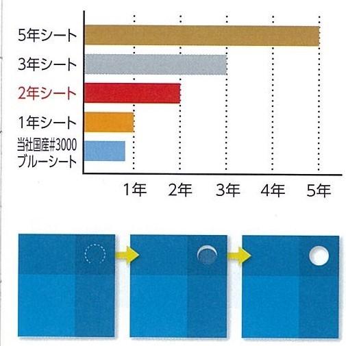 3年シート 3.6m×5.4m 3654 [8枚] | まとめ売り セット販売 国産 日本製 ホワイト 白 遮熱効果 送料無料 | 萩原工業 | 02