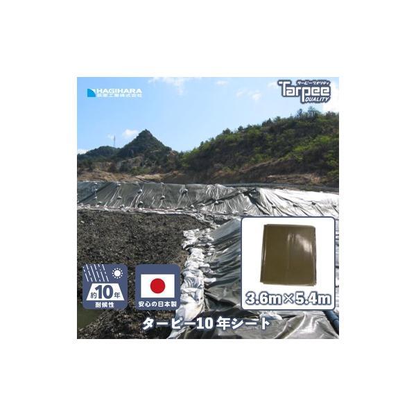 受注生産】ターピー10年シート 3.6m×5.4m ODグリーン | NETIS登録番号