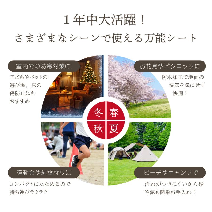 レジャーシート ピクニック 170×170 Lサイズ 3人用 4人用 comfyシート