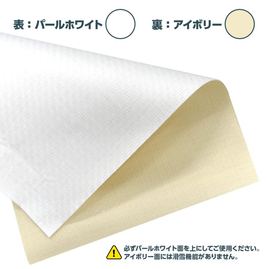 滑雪シート　3.6×5.4メートル Tarpee ターピー 雪下ろし促進シート 3.6 × 5.4m | 屋根 雪 滑る