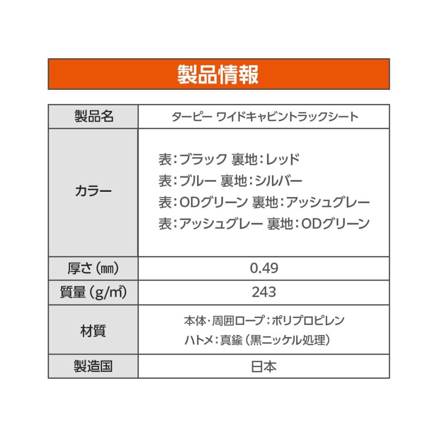 トラックシート ハイゼットジャンボシート スロープ型 ゴムバンド20本