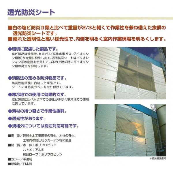 透光防炎シート 3.6m×5.4m | 半透明 透明性 採光性 防炎シート 防炎 防炎ラベル 軽量 国産 建築 建設 養生 工事現場 塗装工事 防水 間仕切り |  | 01