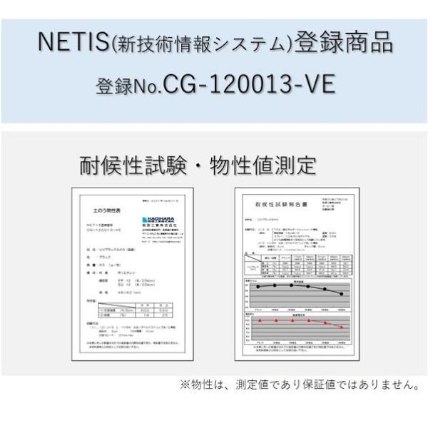 土のう袋 ターピー UVブラック土のう 200枚 | 日本製 5年耐候 48cm×62cm UVDB4862200 UV剤入 土嚢袋 ブラック 工事現場 建築現場 DIY 資材保管 | Tarpee | 08