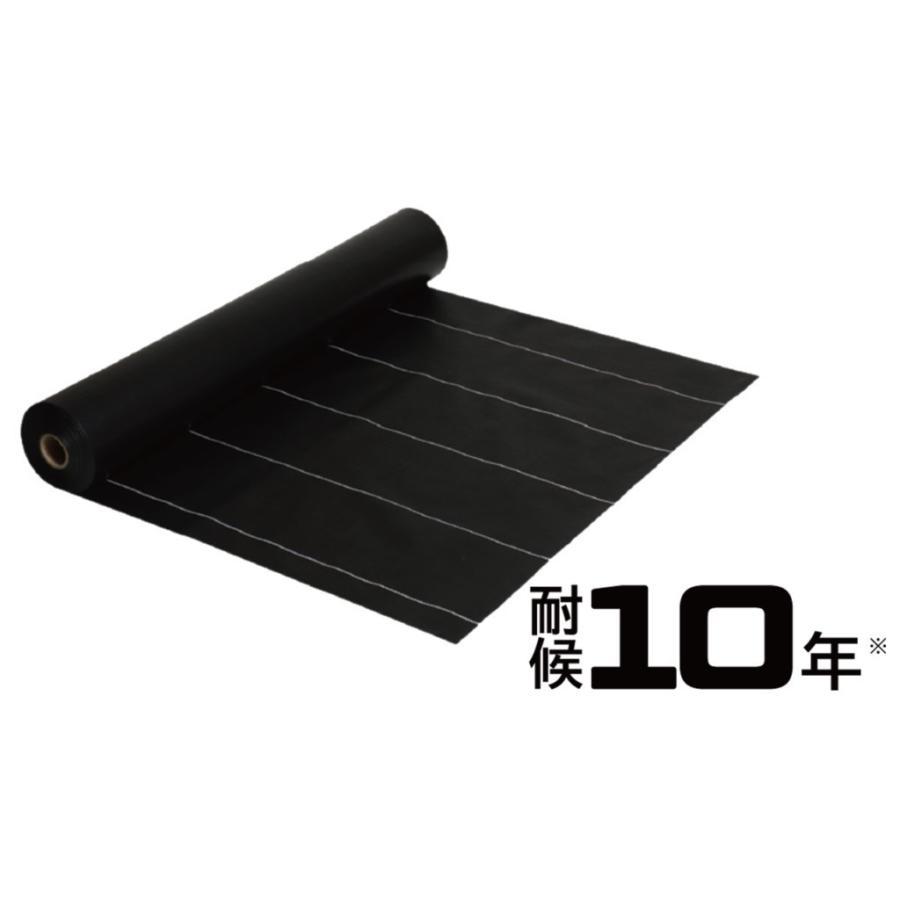 人気絶頂 防草シート 3 0mx50m巻 Gbc 10 透水性 法人様限定 Web限定 Atempletonphoto Com