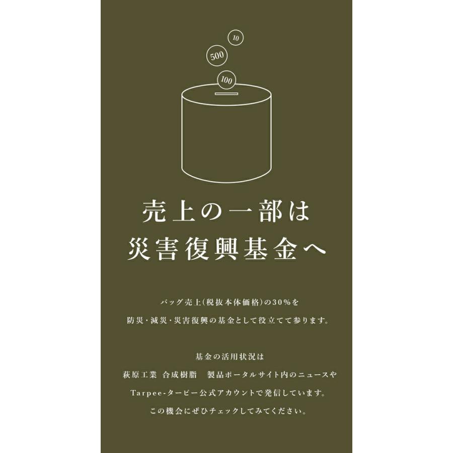 BRIDGE SETOUCHI ブルーシードバッグ2 Lサイズ |  大容量 マチ広 送料無料 | BRIDGE | 10