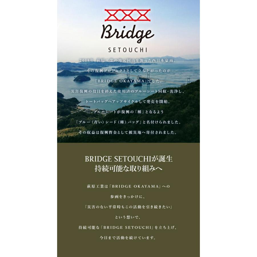 BRIDGE SETOUCHI ブルーシードバッグ2 Lサイズ |  大容量 マチ広 送料無料 | BRIDGE | 02