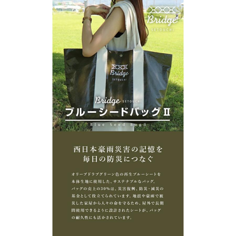 BRIDGE SETOUCHI ブルーシードバッグ2 Mサイズ |  大容量 マチ広 送料無料 | BRIDGE | 01