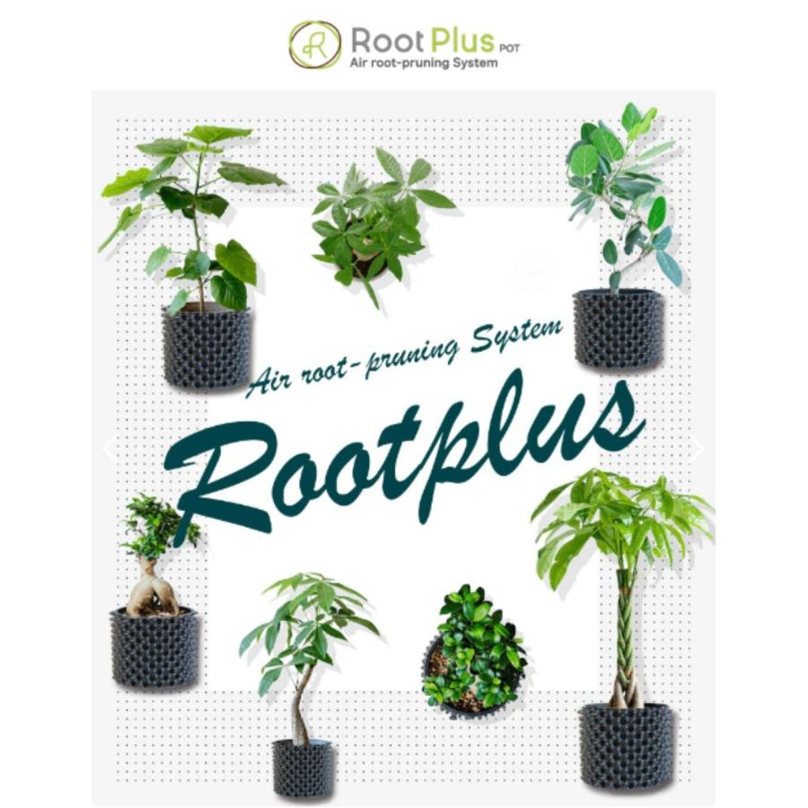 RootPlus 30cmタイプ 植木鉢 小型 | 10号 プランター 根腐れ ルーピング防止 軽い おしゃれ インテリア ルートプラスポット 南榮工業｜hagihara-e｜02