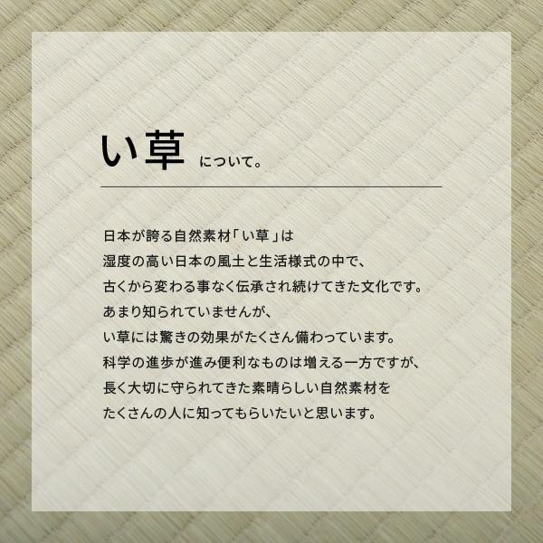上敷き い草上敷き 1畳 本間1畳 95 5 191cm ござ 双目織り リーズナブル 和室 無地 畳の上に敷くもの 柳川 敷物市場 通販 Yahoo ショッピング