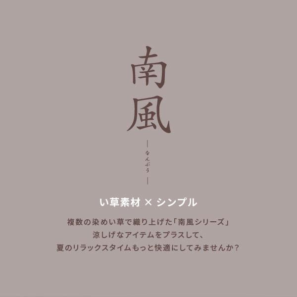公式の店舗 い草 テレビ枕 40 100 cm ブラウン アジアン 和モダン おしゃれ ポコポコテレビ枕 夏用枕 敬老の日 プレゼント ギフト 南風 Riosmauricio Com