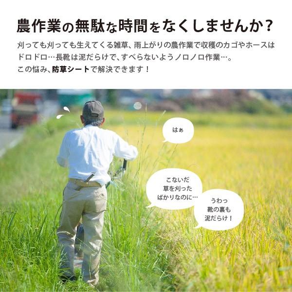 リアル 防草シート 通常透水タイプ 幅2 長さ100m グリーン 家庭菜園 雑草 農業 園芸 田んぼ 畑 通路 除草 緑 めだちにくい アグリシート Bg1515 Discoversvg Com