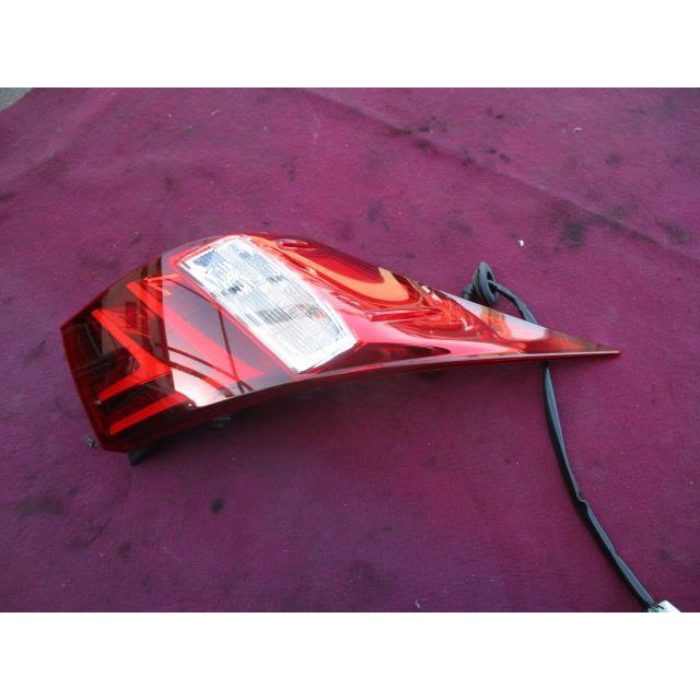 モールトン17インチ369手組み28ホールホイール12-25カンパカセット付 モールトン17インチ369手組み28ホールホイール12-25カンパカセット付