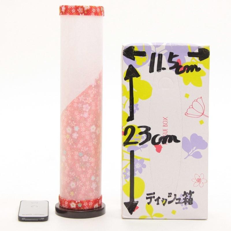 ネーム入り】2個セット 小学生 モルテン サッカーボール5号 2個入り