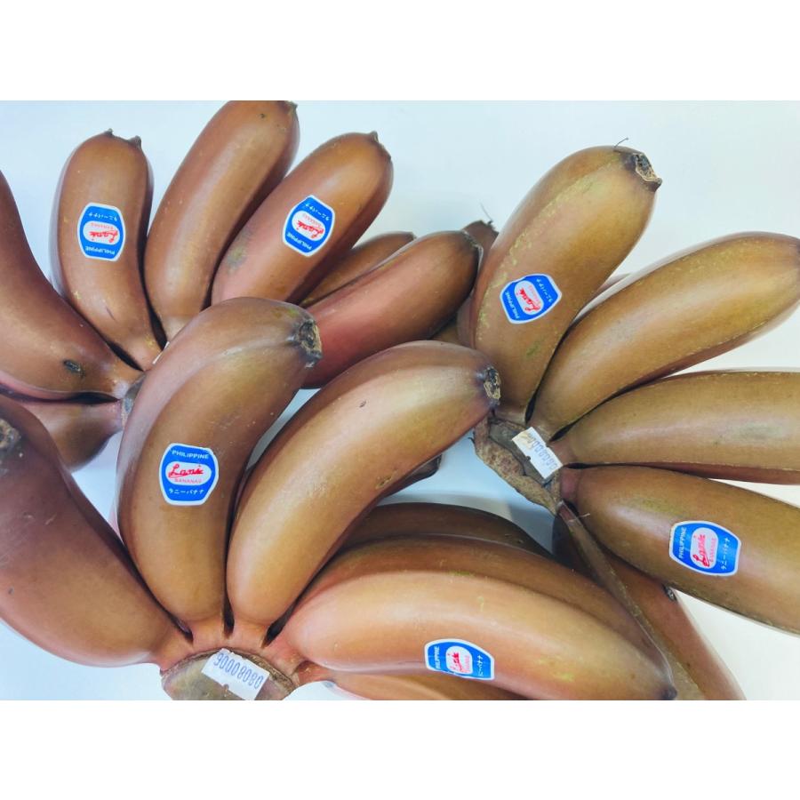 後払い手数料無料 モラードバナナ 赤いバナナ 10本前後 フィリピン産 1kg バナナ