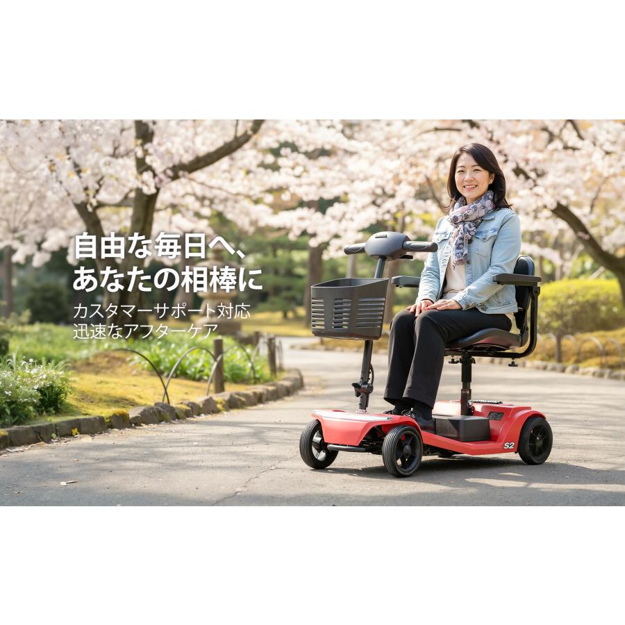 電動シニアカー 電動カート 電動車椅子 セニアカー 高齢者 運転免許 