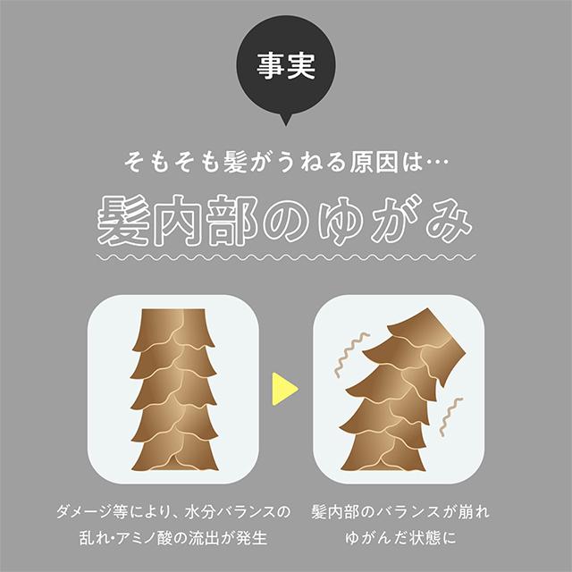 ハホニコ プロ レブリ トリートメント LEVULI Treatment 225g