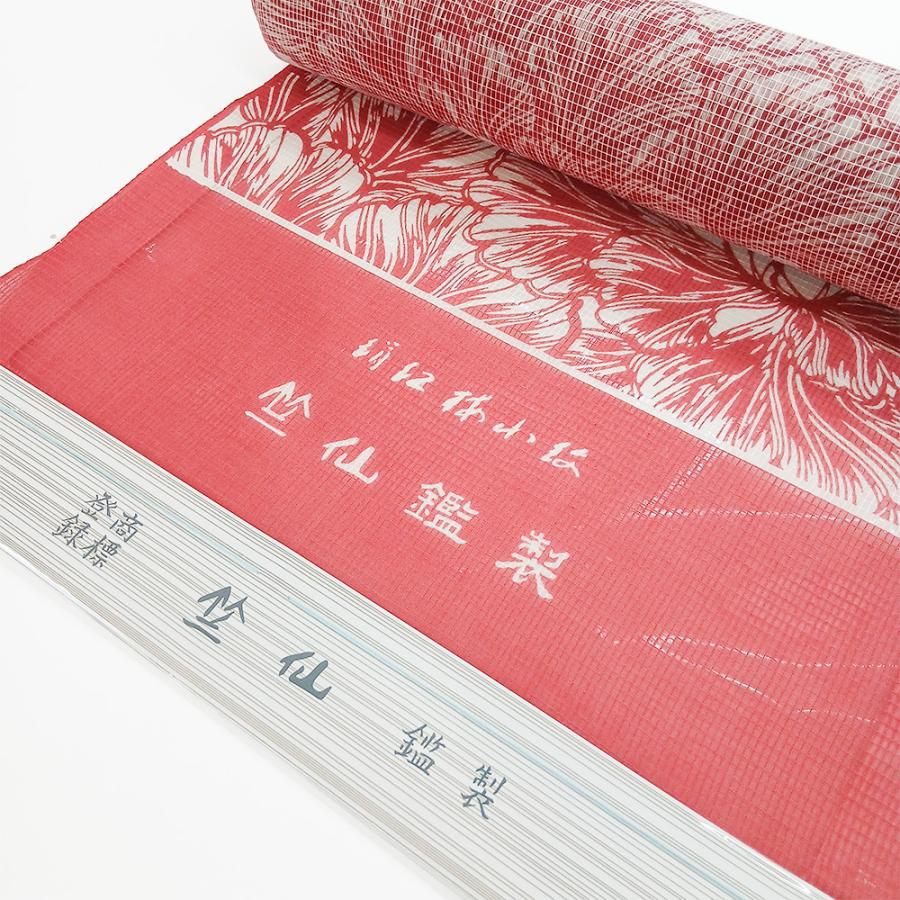 竺仙 絹紅梅 反物 2026新作 大牡丹 夏きもの 浴衣 反物 夏着物 単衣