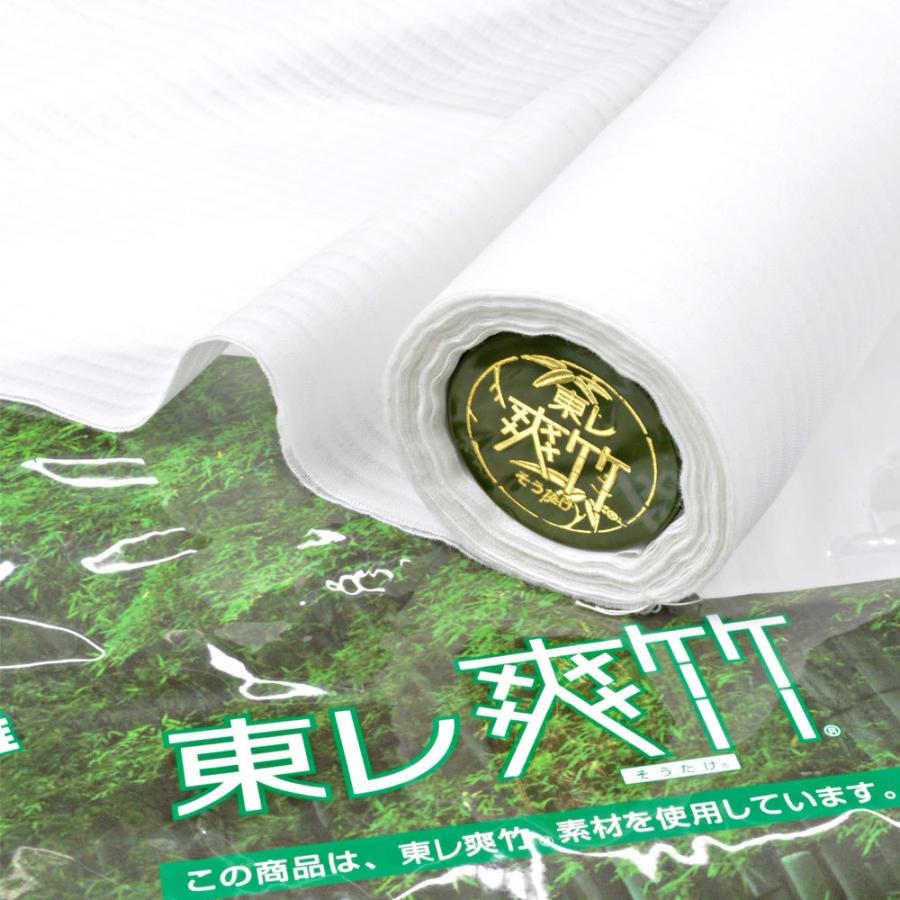 反物｜単衣 夏用 】 東レ 爽竹 縦絽 たて絽 長襦袢 洗える 単衣 女性用