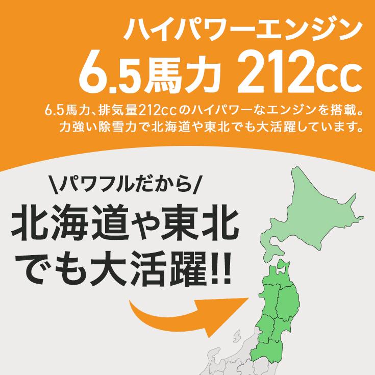HAIGE（ハイガー） 【20000円引クーポン☆1/5まで】ハイガー 自走式
