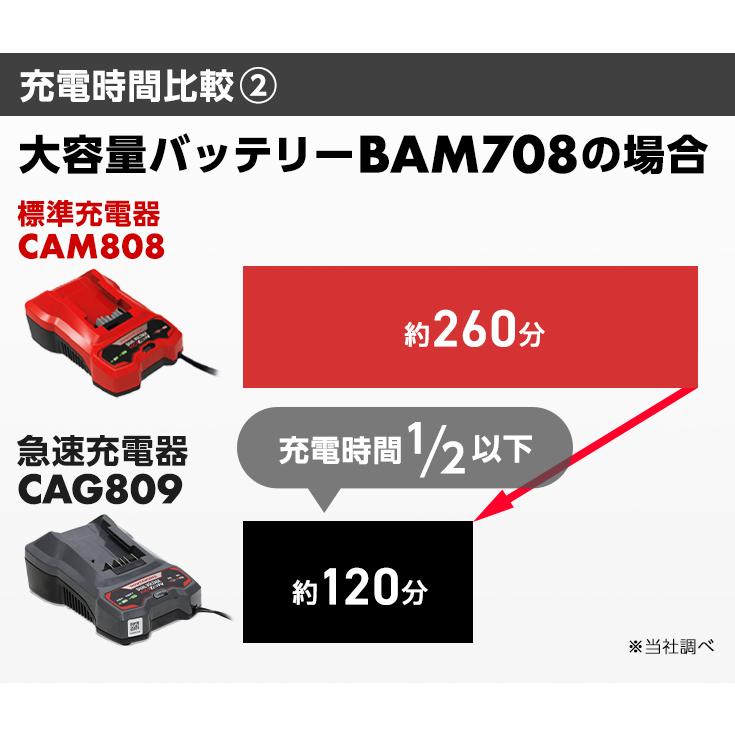HAIGE（ハイガー） パワーワークスシリーズ共通急速充電器 24V/48V