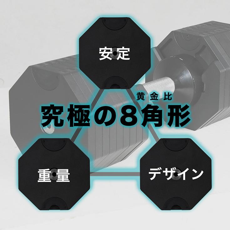 HAIGE ハイガー公式 可変式ダンベル36kg ワンタッチ HAIGE ハイガー公式 可変式ダンベル36kg ワンタッチ