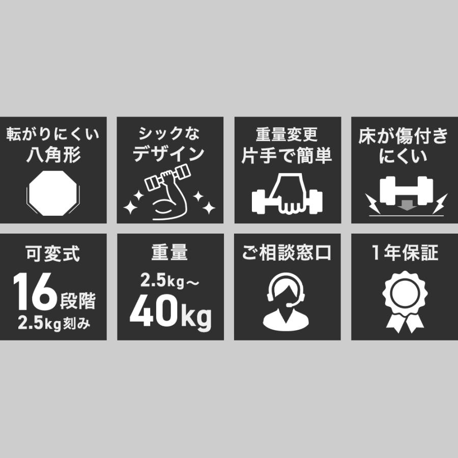 HAIGE（ハイガー） 可変式ダンベル40kg ワンタッチ アジャスタブル