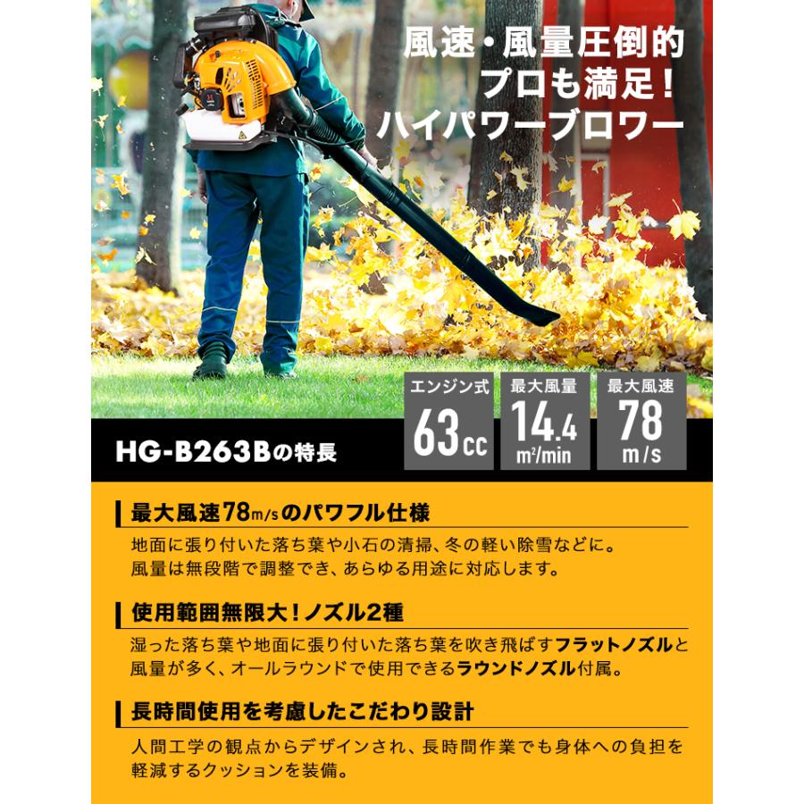 HAIGE（ハイガー） 【5000円引クーポン☆1/5まで】ハイガー 背負い式