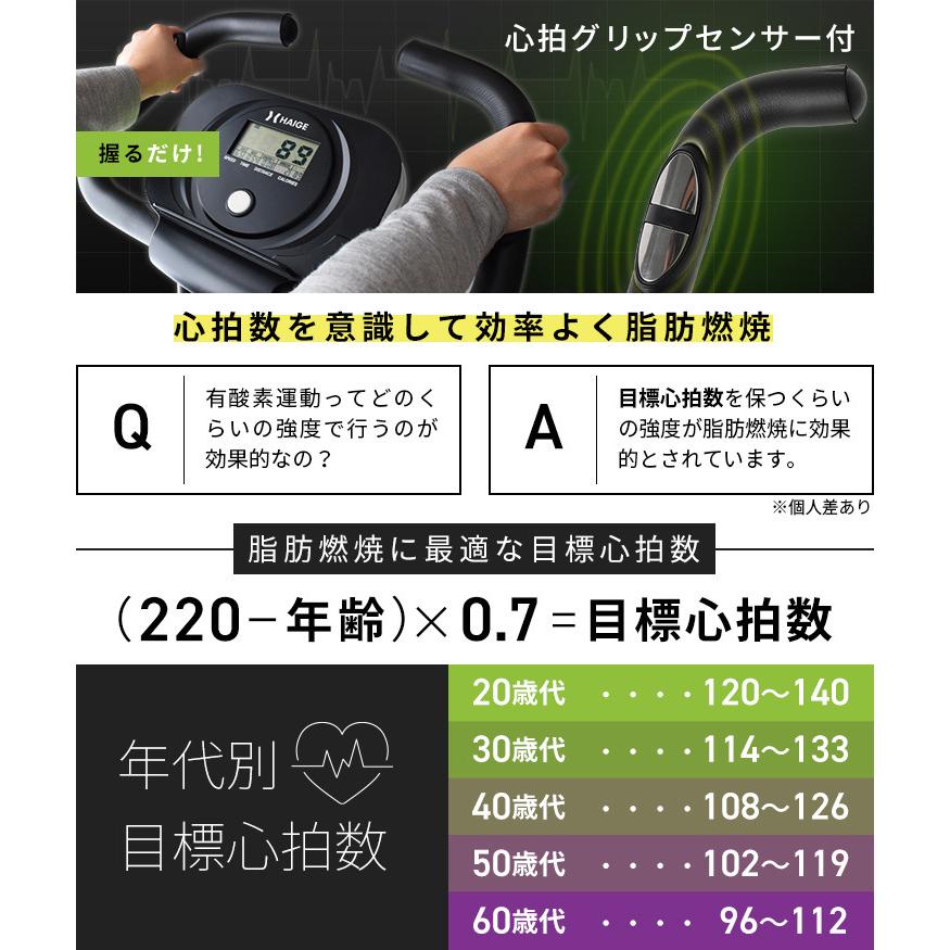 HAIGE ハイガー フィットネスバイク 静音 エアロ トレーニング