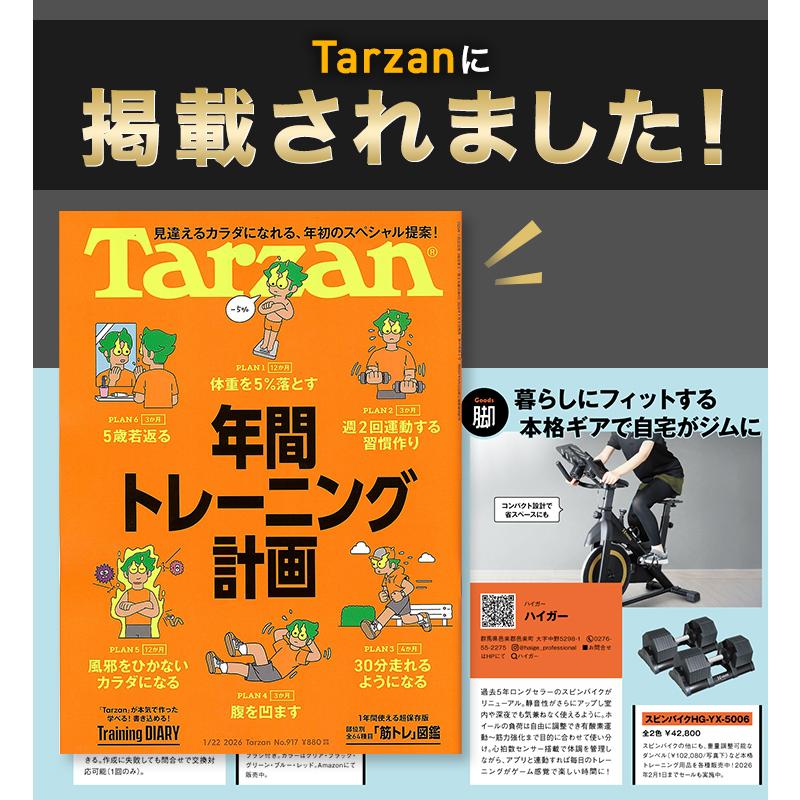 HAIGE（ハイガー） 【5000円引クーポン☆4/19まで】ハイガー スピン 