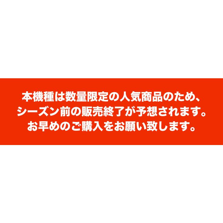 ＜10月限定　超早割＞電動除雪機（バッテリー＋急速充電器　大容量バッテリー48V［2個］）SNE402