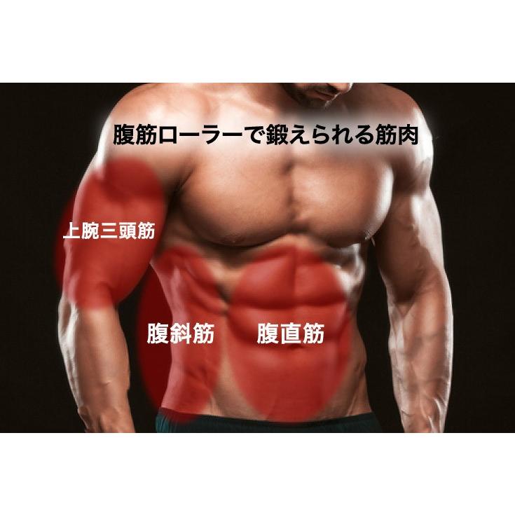 腹筋ローラー マット付き 四輪 腹筋 トレーニング ローラー 超静音 ダイエット器具 エクササイズ アブホイール Hg Ab 01 １年保証 Yhg Ab 01n ハイガー産業 通販 Yahoo ショッピング