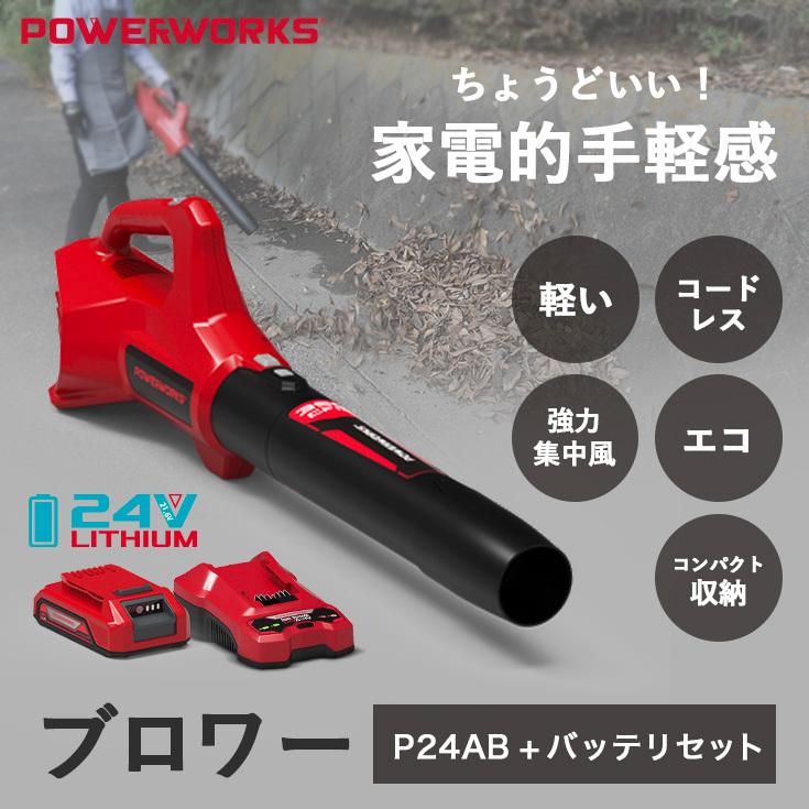 バッテリー付き ブロワー充電式　コードレスハイパワーブロアー　20V　洗車　清掃 Amazon.co.jp: Prostormer 充電式ブロワー 20V コードレス 風量