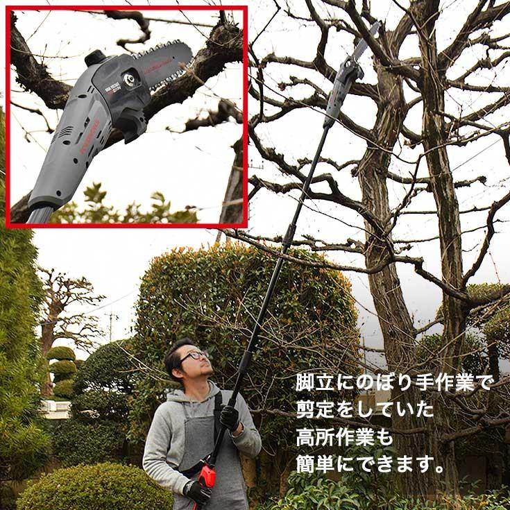 HAIGE（ハイガー） 高枝切り電動チェーンソー 充電式（本体のみ