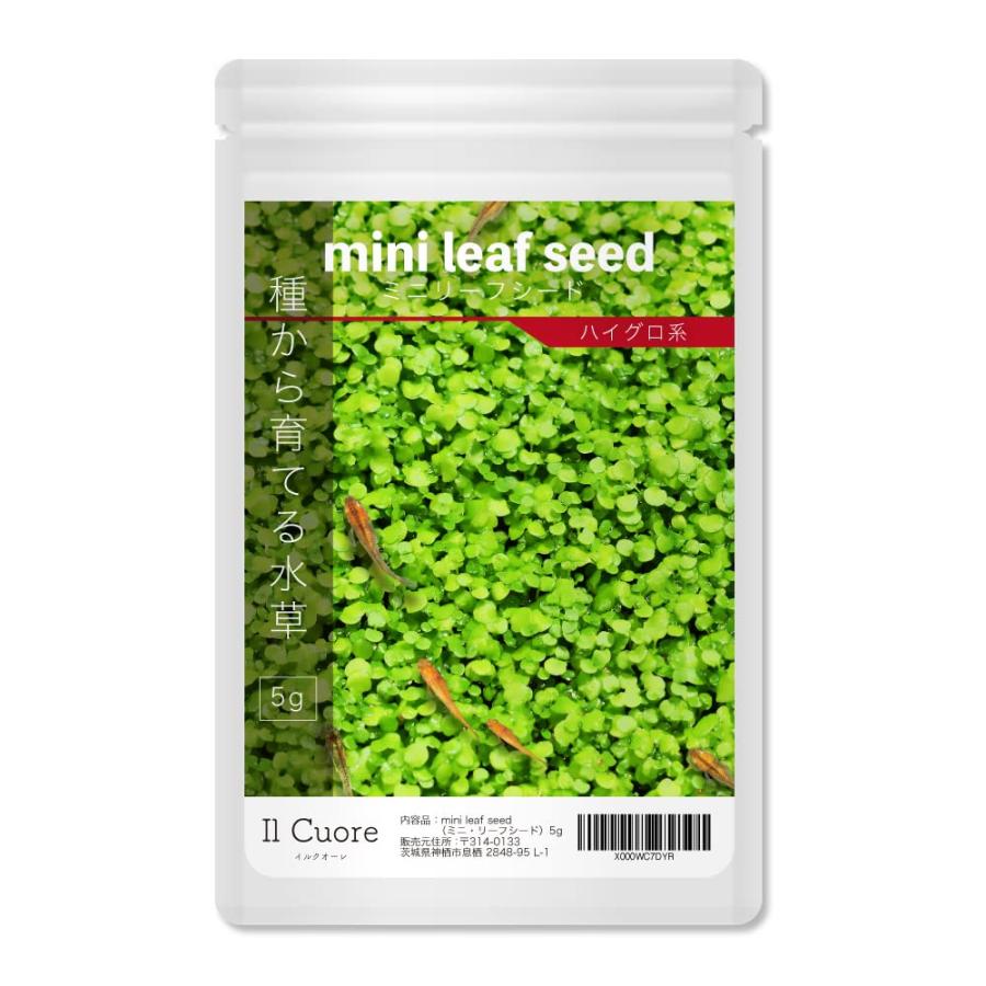 水草の種 mini leaf seed〈ミニリーフシード〉5g アクアリウム