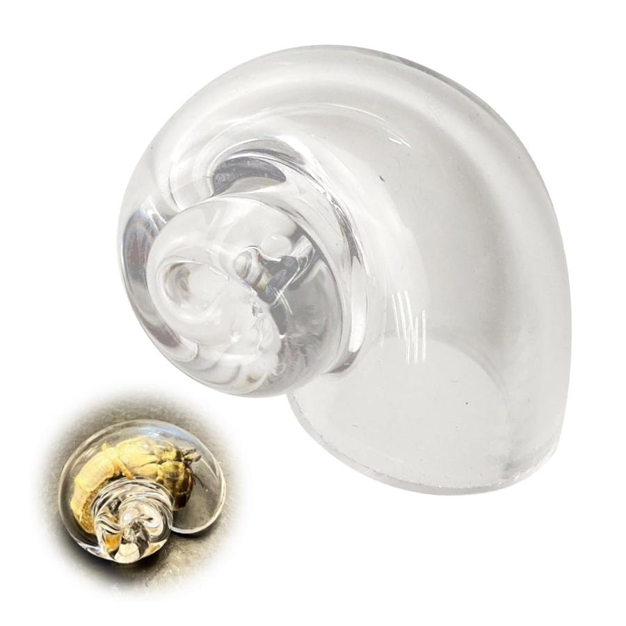 ヤドカリのお宿　{ 貝殻  巻貝 B } TVETE ヤドカリ用貝殻 ガラス巻貝 ヤドカリの殻 【口径20-25MM