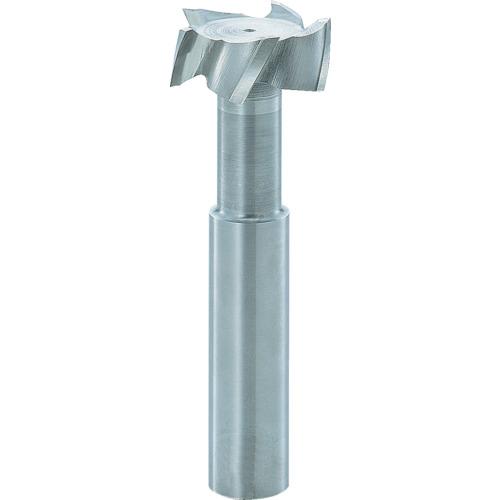 フクダ精工:FKD Tスロットエンドミル22×10 TSE22X10 型式:TSE22X10