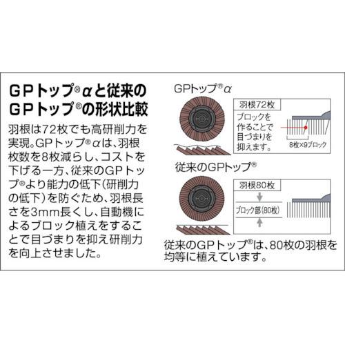 TRUSCO GPトップα ねじ込み式 アランダム Φ100(10枚入) 80# (GP-100AL 