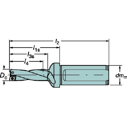 サンドビック　スーパーUドリル　刃先交換式ドリル(465)　溝長106mm　刃径53mm　880-D5300L40-02　シャンク径40mm　全長219mm　(465)