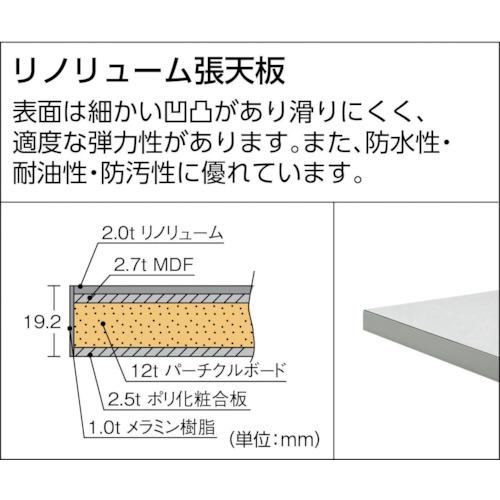 TRUSCO RAE型作業台 1200X750XH740 ダークグレー色 ( RAE-1200 DG