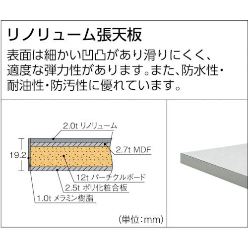 TRUSCO　RAE型作業台　1800X900XH740　YG　2段引出付　RAE-1809F2　ヤンググリーン色　トラスコ中山(株)