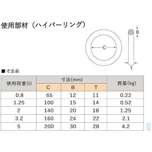 大洋　4本吊　ワイヤスリング　3.2t用×2m(1011704)　4WRS3.2TX2　大洋製器工業(株)