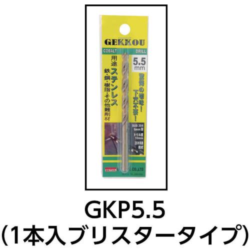 BIC TOOL 月光ドリル 10.0mm ブリスターパック ( GKP10.0 ) (株)ビック・ツール｜haikanshop｜02