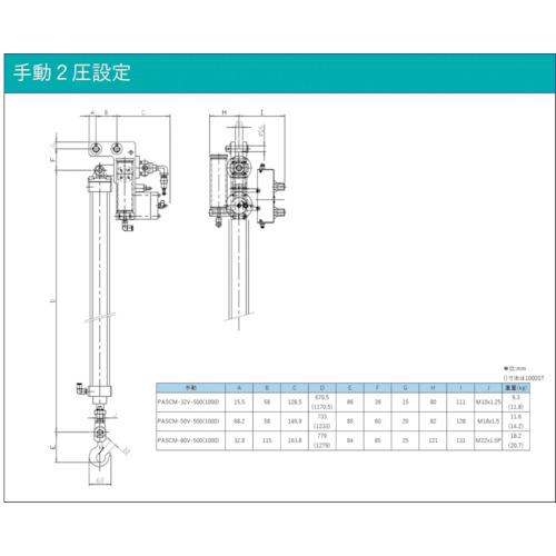 シンテック 縦型バランスシリンダー ( PASCM-50V1000-2-G2 )｜haikanshop｜02