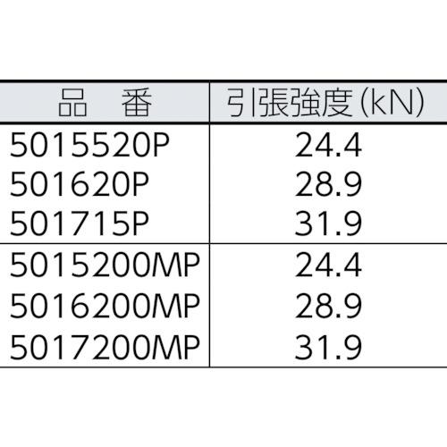 BlueWater　ブルーウォーター2プラス　11φ×45.7m　501715P　BlueWater社