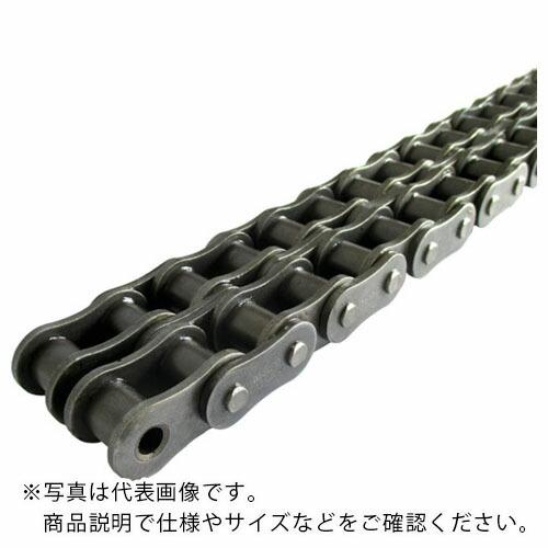 Nページ KANA HKK SBR-PLUS ローラチェーン(長寿命チェーン) ピッチP:31.75